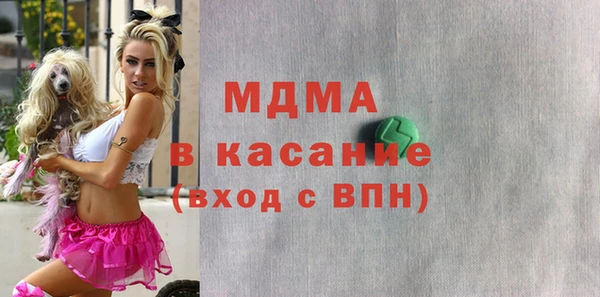 индика Алексин