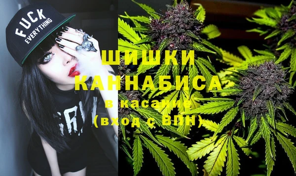 индика Алексин