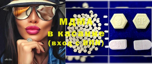 индика Алексин