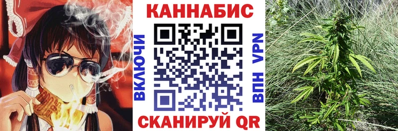 Шишки марихуана OG Kush  Сурск 